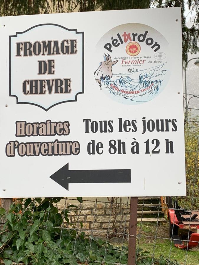Bed and Breakfast La Voutee 5 Epis Avec Bain Finlandais Prive Au Manoir Du Charme Gorges Du Tarn Quezac  Экстерьер фото