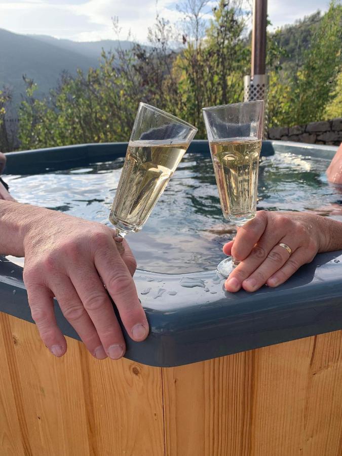 Bed and Breakfast La Voutee 5 Epis Avec Bain Finlandais Prive Au Manoir Du Charme Gorges Du Tarn Quezac  Экстерьер фото
